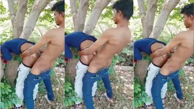 Hot Cousin Sister Sex – Outdoor Tree Video