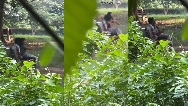 Delhi Teen Couple In Park Viral Xx Vid – Teen Couple Sex
